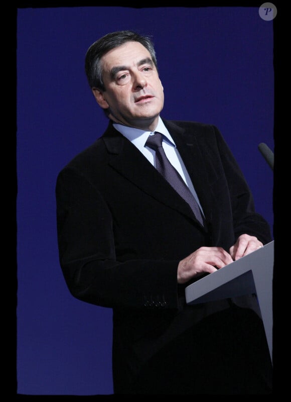 François Fillon à Paris le 11 décembre 2010.