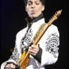Prince, mis à l'honneur dans un documentaire d'Arte (5 janvier 2011)