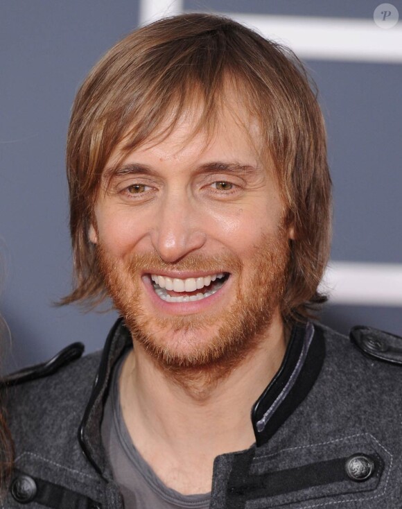 David Guetta et le groupe Phoenix ont été, comme en 2009, les artistes français les plus successful à l'étranger en 2010, avec leurs albums One Love et Wolfgang Amadeus Phoenix.
