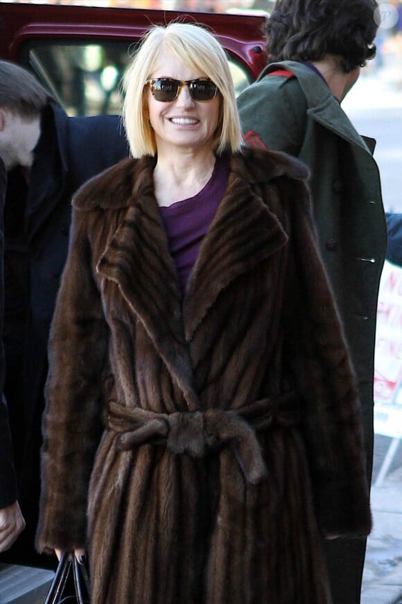 Ellen Barkin à l'occasion du Festival de Sundance, à Park City, le 24 janvier 2011.