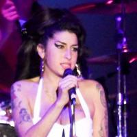 Amy Winehouse : La chanteuse a été hospitalisée !