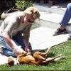 Katherine Heigl s'amuse avec un adorable chien en attendant sa maman à Pasadena, le 14 avril 2011