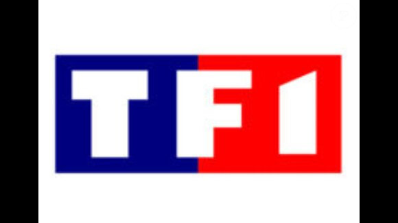 TF1 saura-t-elle prendre les décisions nécessaires pour remonter la pente ?