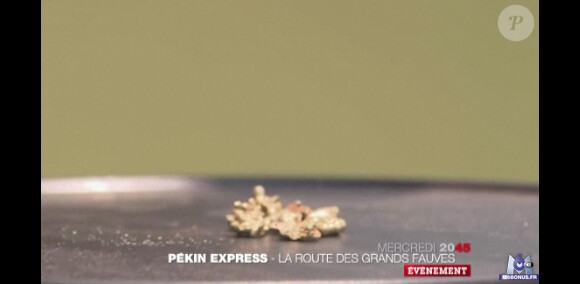 Une pépite d'or dans la bande-annonce de Pékin Express : la route des grands fauves diffusée le mercredi 15 juin 2011