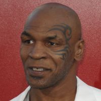 Very Bad Trip 2 : Le combat du tatoueur de Mike Tyson est terminé