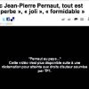 Jean-Pierre Pernaut au pays des merveilles, un montage réalisé par Rue89 qu'a fait interdire TF1 sur Youtube.... mais pas encore Dailymotion.