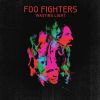 Wasting Light, septième album des Foo Fighters, paru en avril 2011