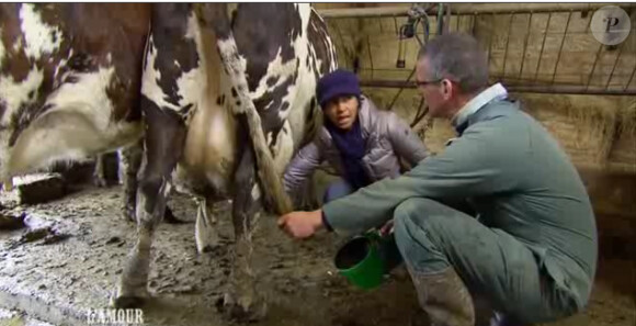 Jean-Claude en pleine traite des vaches, dans l'amour est dans le pré, saison 6 !