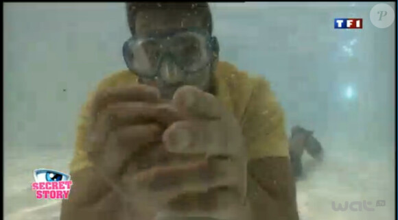 Zelko dans la piscine dans Secret Story 5