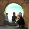 Gwen Stefani prend en photo ses fils, Kingston et Zuma au zoo. Londres, 28 septembre 2011