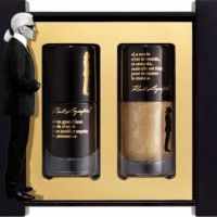 Karl Lagerfeld : le créateur de génie vous refait une beauté