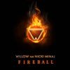 Nicki Minaj et Willow Smith - Fireball - octobre 2011.