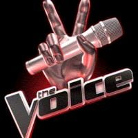 The Voice : Le jury sera composé de Florent Pagny, Sharleen Spiteri et...