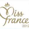 Miss France 2012 relèvera-t-elle le défi de Gad Elmaleh ?