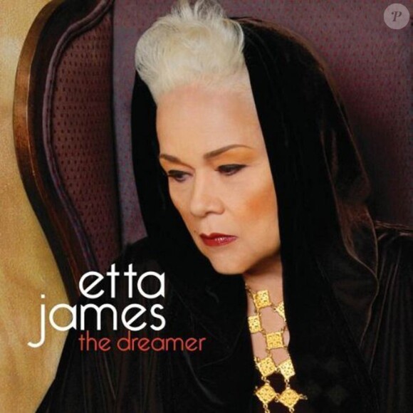 Etta James publiait en novembre 2011 son dernier album, The Dreamer. Deux mois avant que sa leucémie l'emporte...
Etta James, diva de l'âge d'or de Chess Records qui a traversé les époques et les styles, est morte le 20 janvier 2012 à 73 ans, succombant à sa leucémie.
