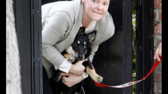 Katherine Heigl plus triste de voir partir ses chiens que son mari