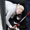 Katherine Heigl dit au revoir à son mari Josh Kelley et à leurs chiens à Los Feliz, le 20 février 2012