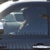 Brad Pitt et Angelina Jolie enc ompagnie de leurs enfants se rendent en voiture au McDonald's à Los Angeles le 3 mars 2012