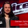 Prestation de Damien dans The Voice, samedi 25 février 2012 sur TF1