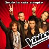 Les coachs de The Voice (TF1)