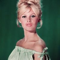 Brigitte Bardot, Pamela Anderson, Marilyn Monroe : Le porno chic mis à l'honneur