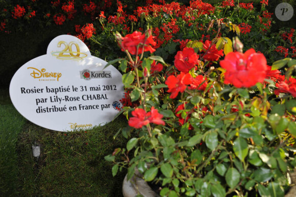 Sébastien Chabal et sa fille Lily-Rose ont baptisé une fleur créée pour les 20 ans de Disney le 31 mai 2012 au Jardin des Tuileries à Paris