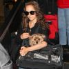 Natalie Portman qui ne se sépare jamais de son chien, arrive de New York à l'aéroport de Los Angeles (LAX). Le 29 juillet 2012