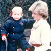 Le prince Charles et la princesse Diana avec William, en 1983.
Quinze ans après la mort de Lady Diana, ses fils les princes William et Harry, et Kate Middleton, la belle-fille qu'elle aurait adoré connaître, perpétuent sa mémoire...