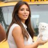 Kim Kardashian tient dans les mains son adorable chat nommé Mercy, titre d'une chanson de son petit ami Kanye West. Miami, le 1 6septembre 2012.