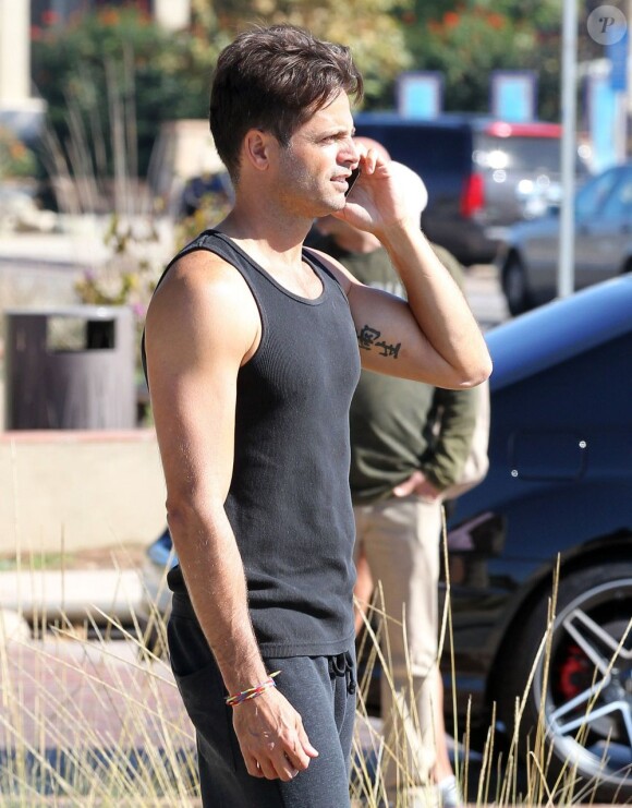 David Charvet appelle la police après une altercation avec un paparazzo à Malibu, le 4 novembre 2012