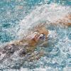 Engagée dans les championnats d'Europe à Chartres, Laure Manaudou a remporté l'argent sur le 100m dos le 23 novembre 2012.