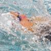 Engagée aux championnats d'Europe à Chartres, Laure Manaudou a remporté l'argent sur le 100m dos le 23 novembre 2012.