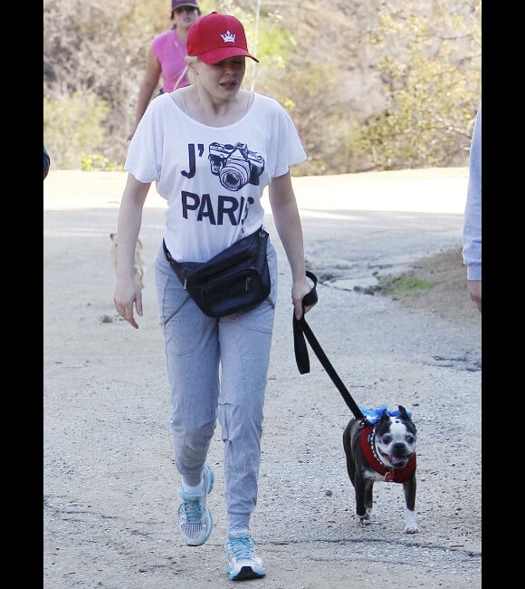 Rose McGowan promène son joli chien à Hollywood (Californie), le 3 janvier 2013.