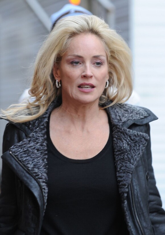 Sharon Stone sur le tournage du film Fading Gigolo à New York, le 3 décembre 2012.