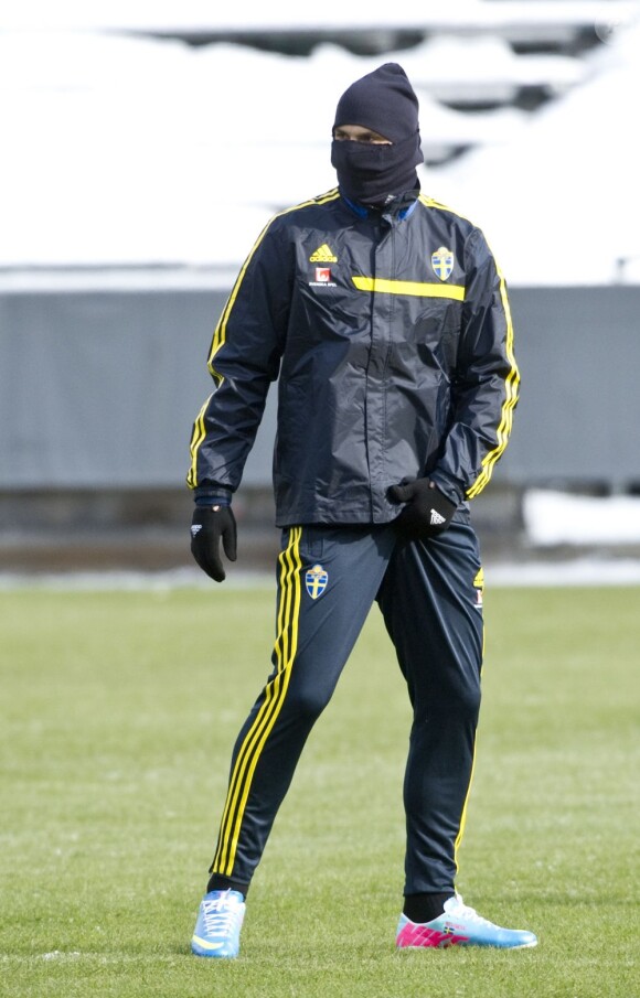 Zlatan Ibrahimovic s'entraîne avec l'equipe suédoise à Stockholm le 19 mars 2013.