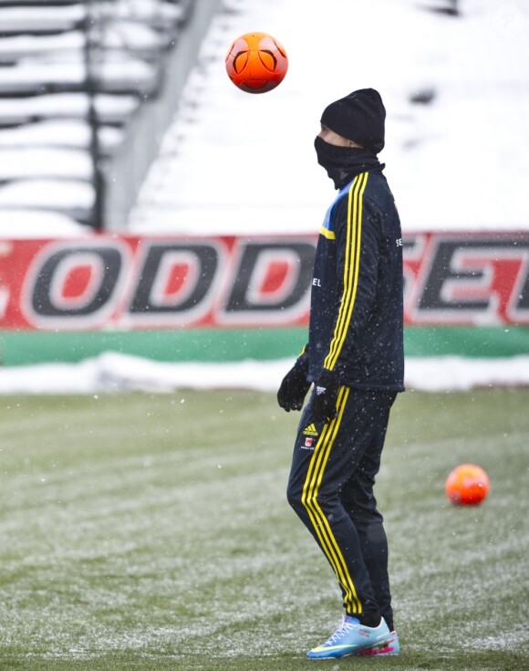 L'attaquant du PSG Zlatan Ibrahimovic s'entraîne avec l'equipe nationale suédoise à Stockholm le 19 mars 2013.