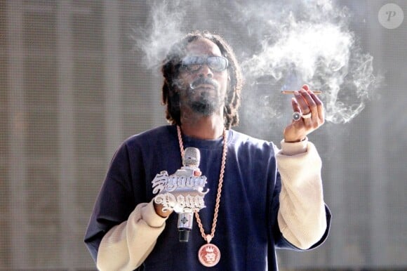 Snoop Lion en concert à Miami, le 18 mars 2013.
