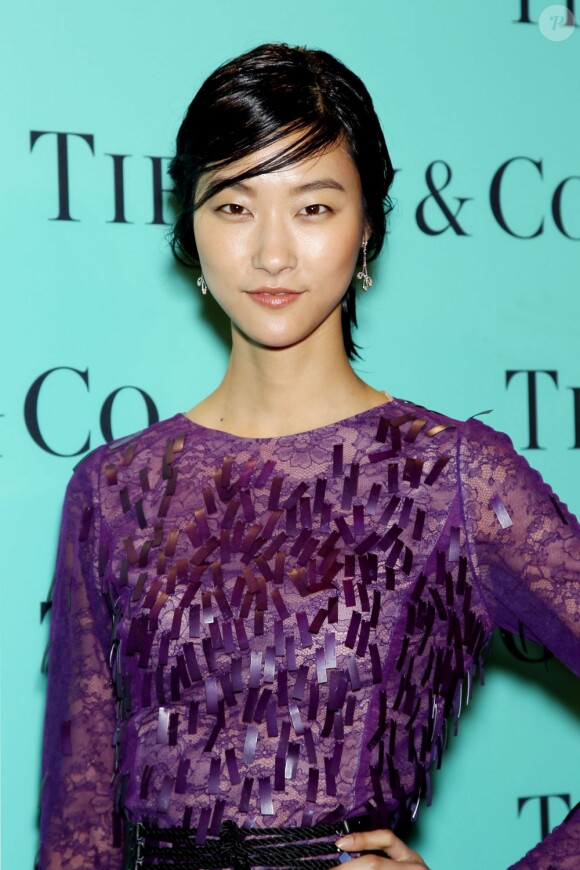 Ji Hye Park à la soirée Tiffany & Co Blue Book Ball au Rockefeller Center de New York. Le 18 avril 2013.