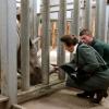 La princesse Anne inaugurant le nouvel enclos des éléphants au Blair Drummond Safari Park le 19 avril 2013. Bon, là c'est un rhinocéros...