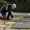 Le prince Harry s'incline et dépose des fleurs sur une tombe au cimetière national américain d'Arlington en Virginie, le 10 mai 2013 au cours de sa visite officielle aux Etats-Unis, où il s'est recueilli notamment sur la tombe du soldat inconnu et celle de John F. Kennedy.