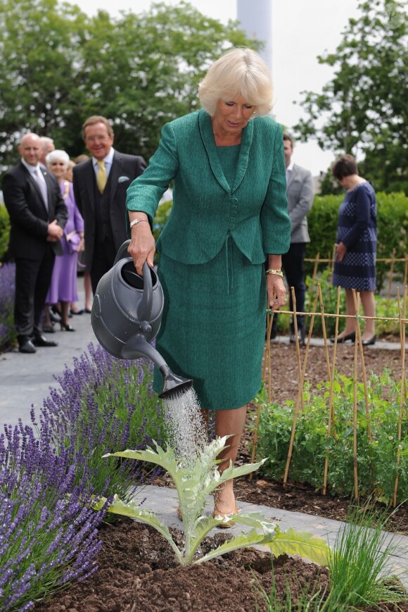 Camilla Parker Bowles, lors d'une visite du Maggie's Cancer Caring Centre à Swansea. Au Royaume-Uni, le 4 juillet 2013. Après avoir pris un thé avec les patients, la duchesse a fait du jardinage.