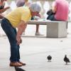 Bernie Ecclestone à la chasse au pigeon à Dubrovnik en Croatie, le 10 août 2013