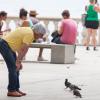 Bernie Ecclestone à la chasse au pigeon à Dubrovnik en Croatie, le 10 août 2013