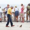 Bernie Ecclestone suivait les pigeons à la trace à Dubrovnik en Croatie, le 10 août 2013