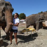 Stéphanie de Monaco : Aux petits soins de Baby et Nepal, le bonheur à Roc Agel