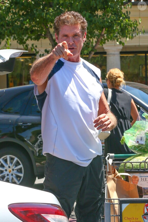 David Hasselhoff et sa sublime compagne Hayley Roberts à Los Angeles, le 14 août 2013.