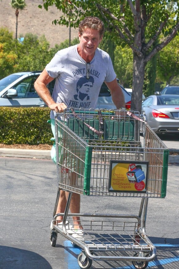 David Hasselhoff et sa compagne Hayley Roberts à Los Angeles, le 14 août 2013.