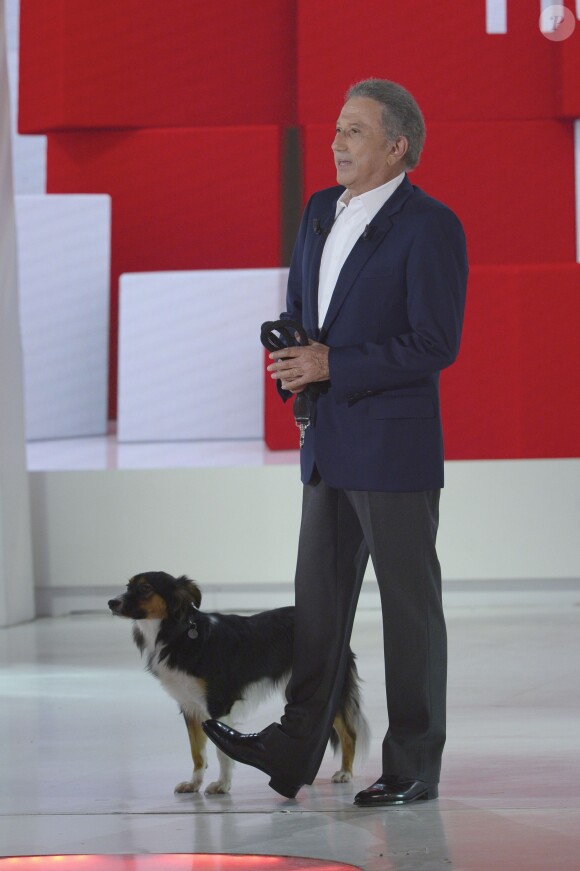 Michel Drucker et sa chienne Izia à l'enregistrement de l'émission "Vivement Dimanche" pour une diffusion le 1er septembre 2013
