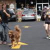 Amanda Seyfried et Justin Long se promènent avec un joli chien (celui d'Amanda) à Los Angeles, le 31 août 2013 : le début d'une romance ?