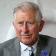  Le prince Charles à Chatham le 29 juillet 2013. L'héritier du trône britannique a été choqué d'apprendre début septembre 2013 la mort de son grand ami Hugh van Cutsem. 